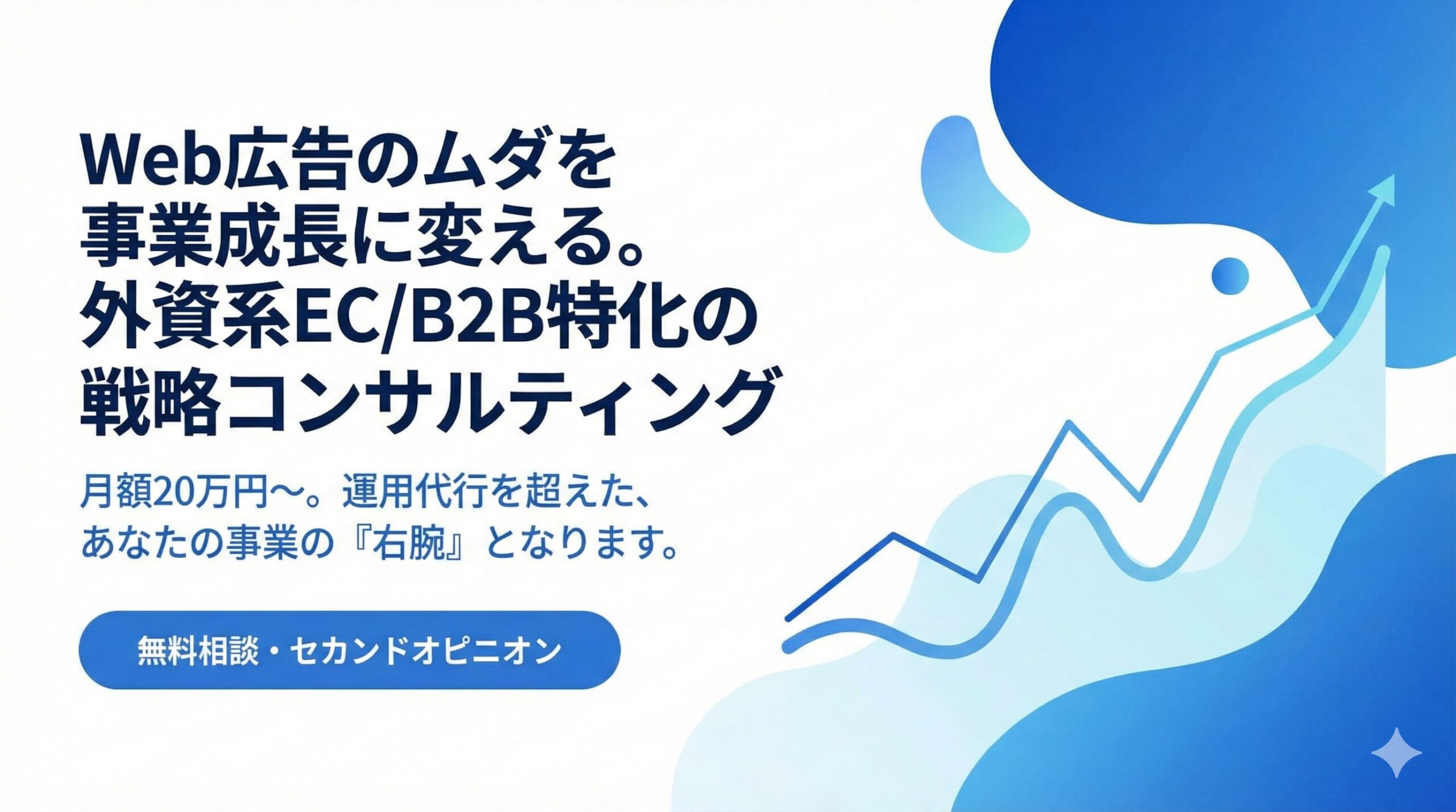 Web広告のムダを事業成長に変える。外資系EC/B2B特化の戦略コンサルティング
